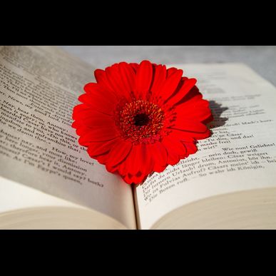 東御市、上田市エリアで脱毛をお探しなら水素スタジオへ